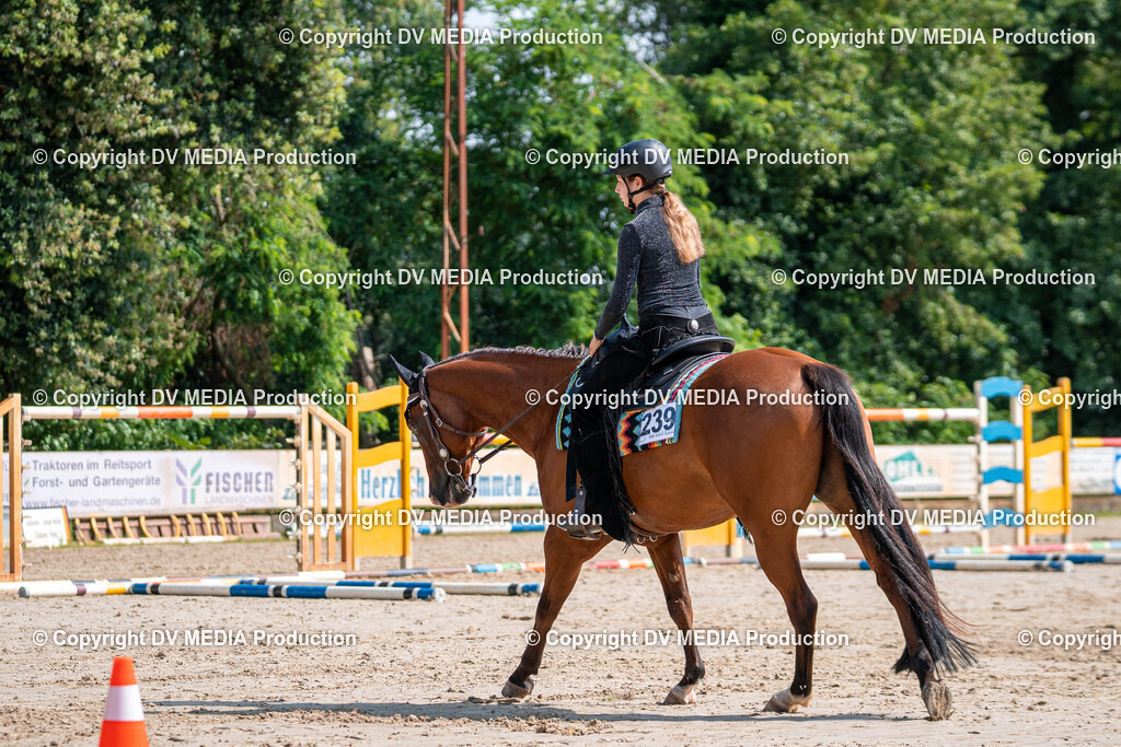 Zeiskam Tag 3-280 | dv-media-shop - Realisiert mit Pictrs.com