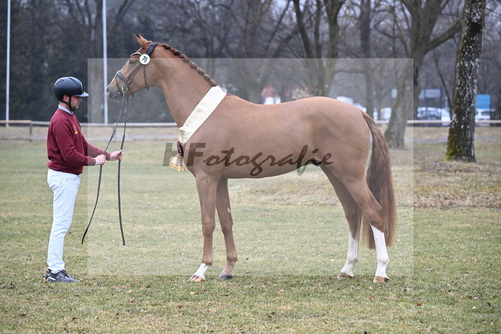 Kat.-Nr. 76 v. Sir Heinrich_Schulze Averdiek_3265785 | hf-fotografie - Realizzato con Pictrs.com