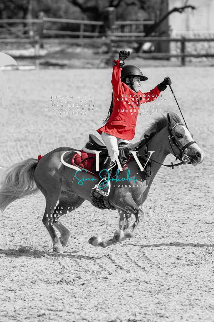 IMG_4367-2 | s-jay-photography - Realisiert mit Pictrs.com