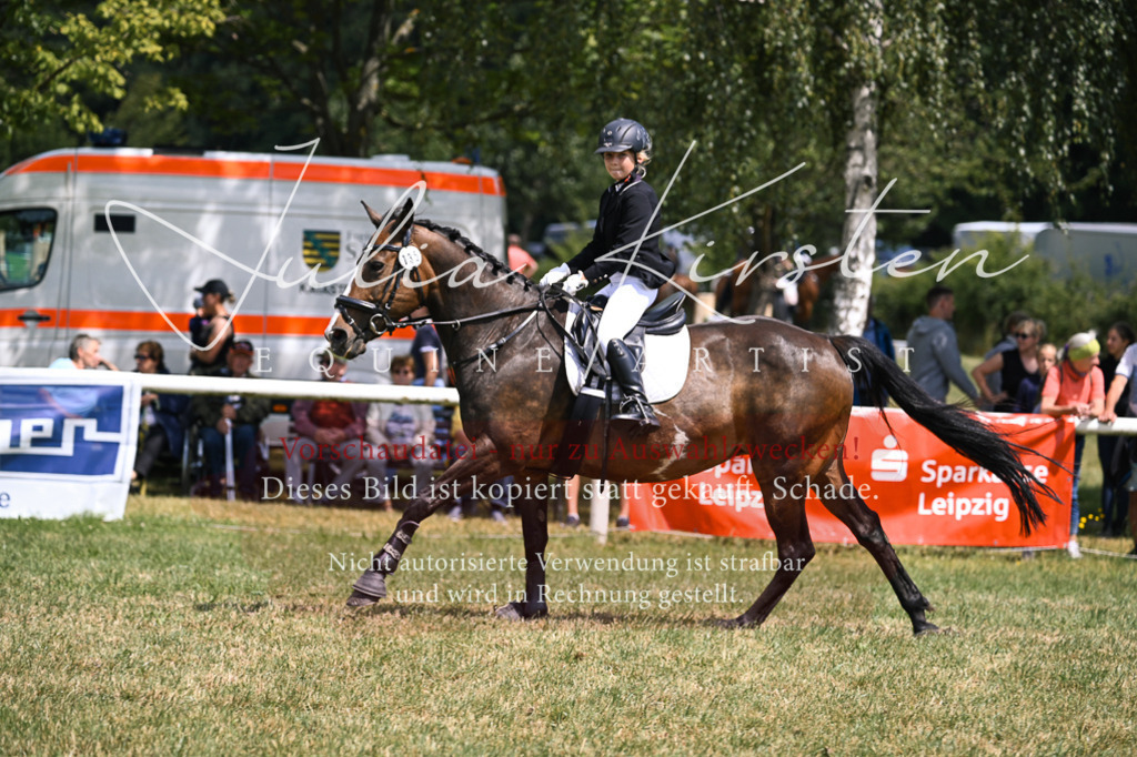 DSC_9246 | Pferde- und Turnierfotografie in Westsachsen. Pferdeportraits, Auftragszeichnungen und intuitive Kunst.