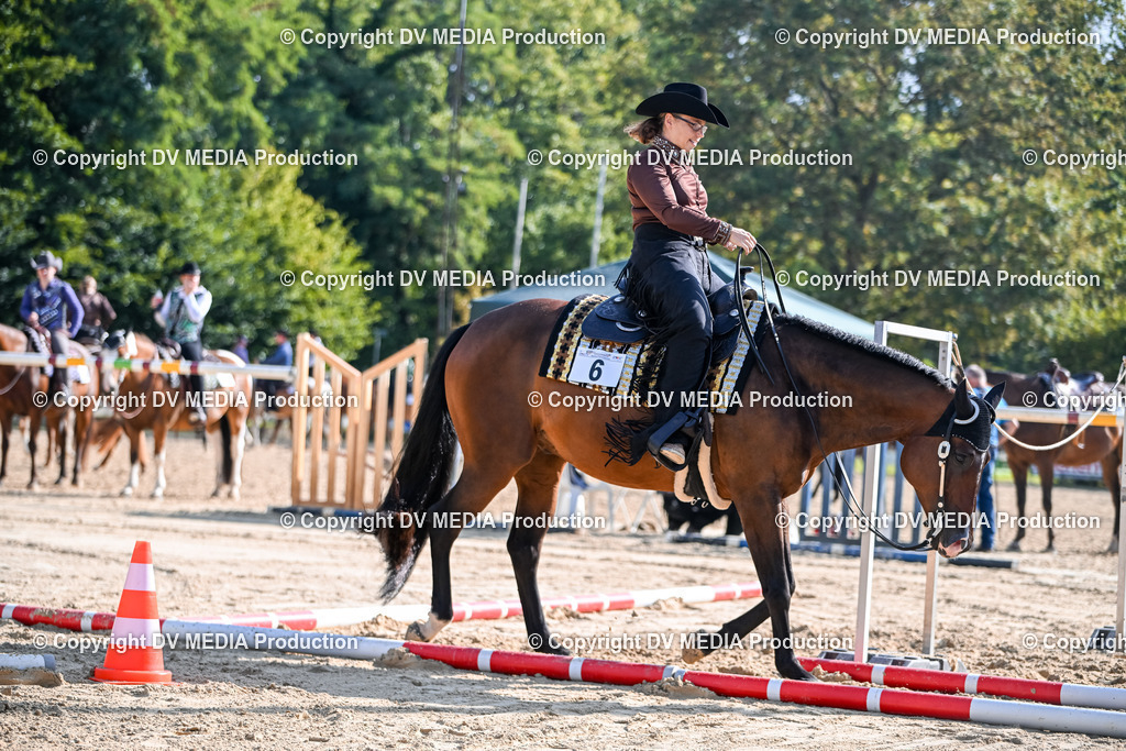 ZS2_3458 | dv-media-shop - Realisiert mit Pictrs.com