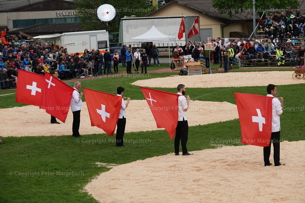 DSC03262 | Schwingen - Realisiert mit Pictrs.com
