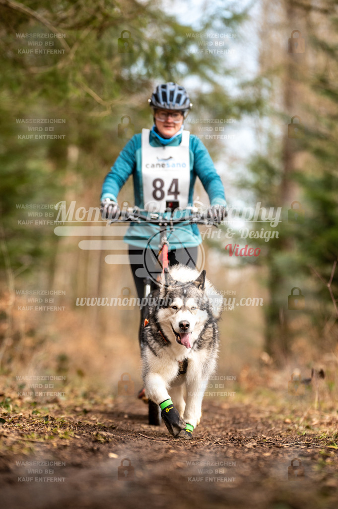 Reiat2023_SAM_Scooter_5km_1H-9 | PayLife