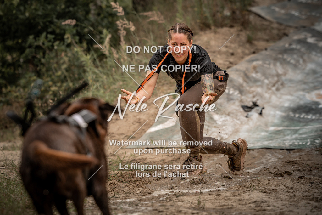 nelerasche_sa0800-1000_213 | nelerasche