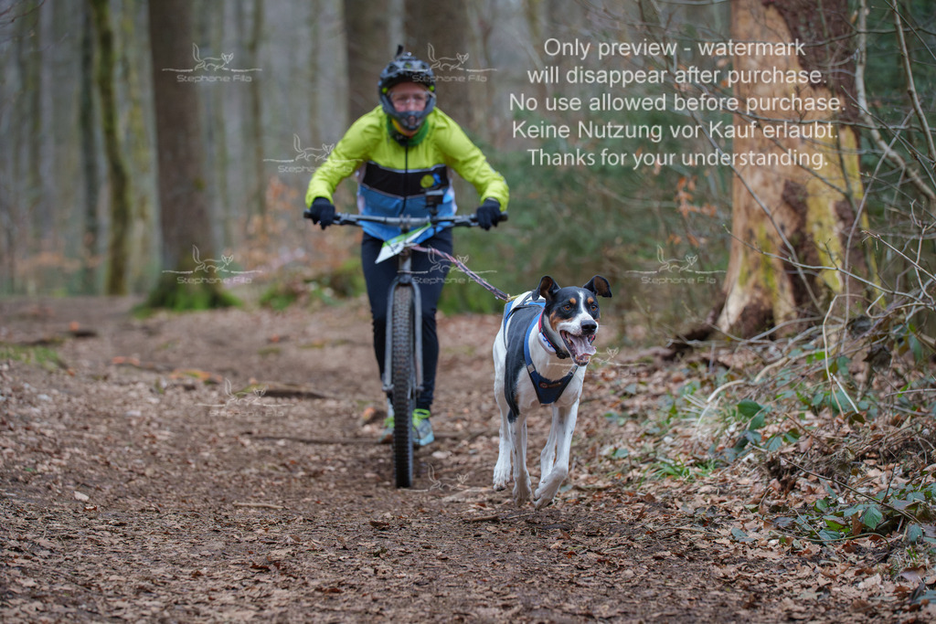 Scooter_So-109 | stephaniefillaphotographie - Realisiert mit Pictrs.com