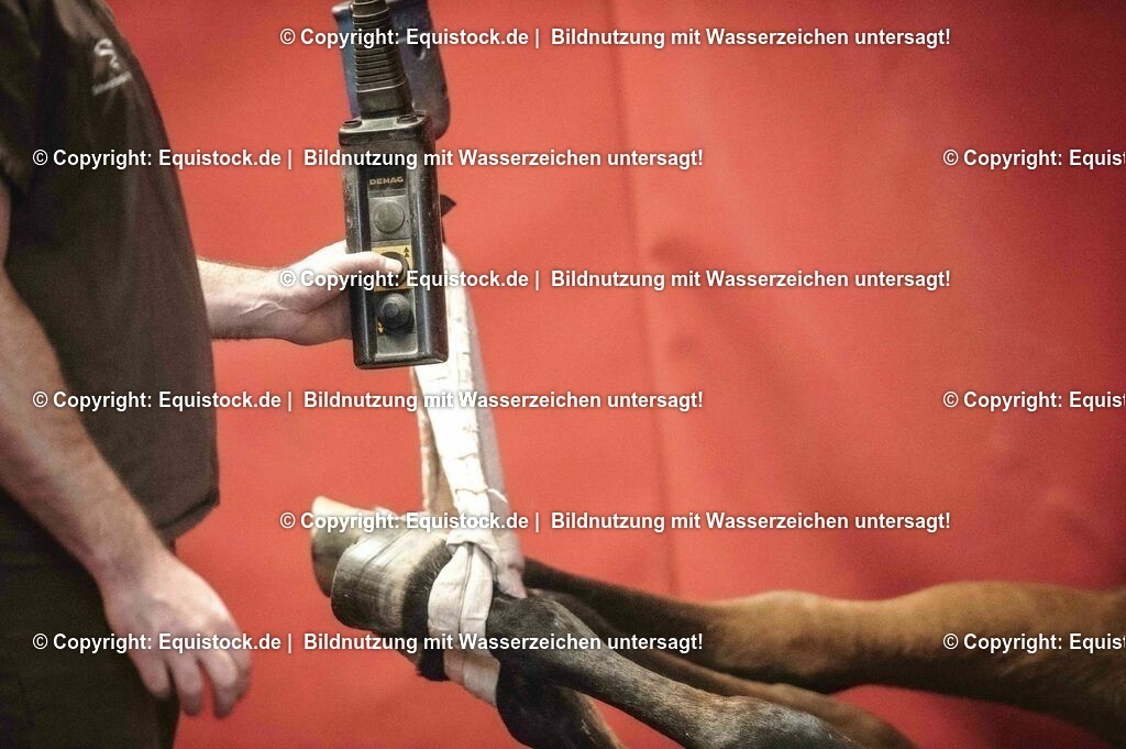 20201126_Narkose_0007 | equistock