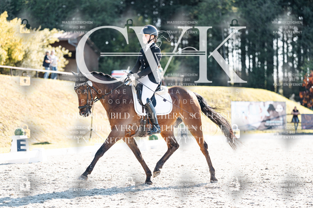 CK906257 | Turnierfotografie Pferdefotografie Trier Rheinland-Pfalz Pferdesport Reitsport Tierfotografie Sportfotografie Pferdevideo Pferdevideografie Equestrianvideography equestrianphotography  - Realisiert mit Pictrs.com