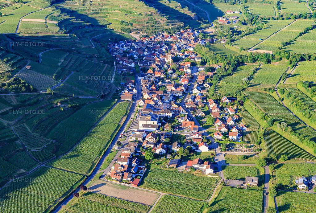 Luftbild: Winzerdorf im Kaiserstuhl aus Südwesten im Ortsteil Achkarren in Vogtsburg im Bundesland Baden-Württemberg in Deutschland. Foto: IMG_147868.jpg vom 30.05.2025 durch Werner Riehm/FLY-FOTO.de