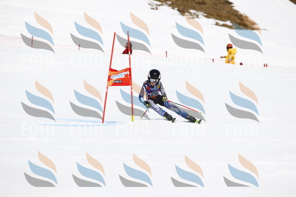 _U3G5871 | holidayphoto