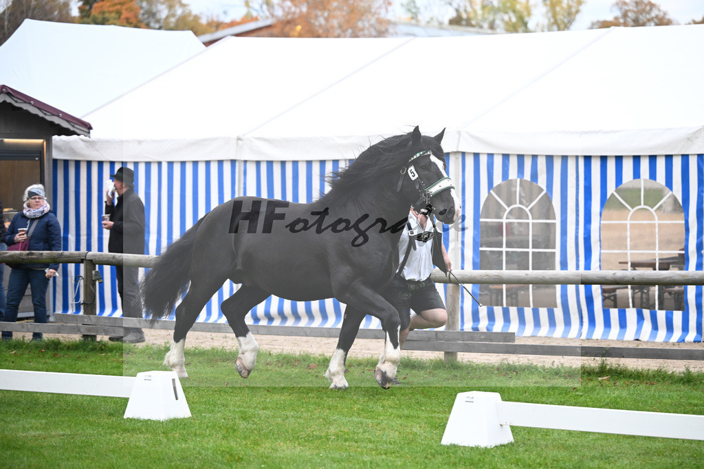Kat-Nr. 5 Ramminger v. Rudi_Waltenberger_41250088 | hf-fotografie - Realizzato con Pictrs.com