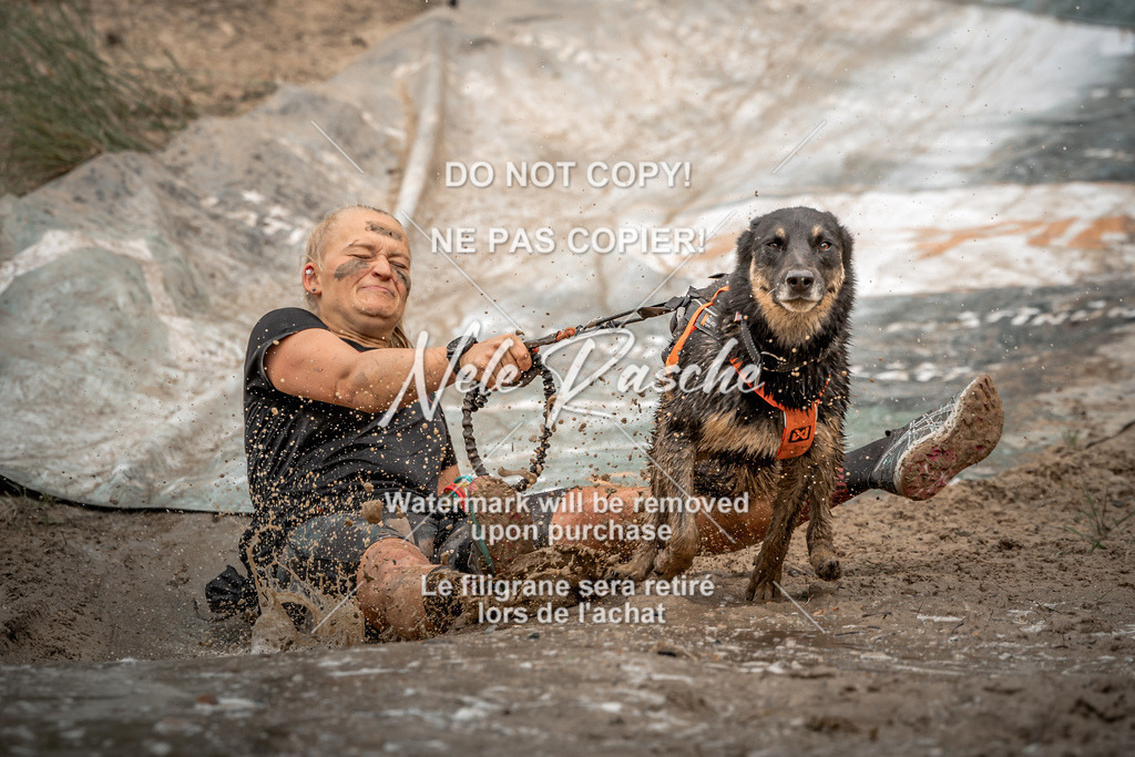 nelerasche_sa1230-1300_349 | nelerasche