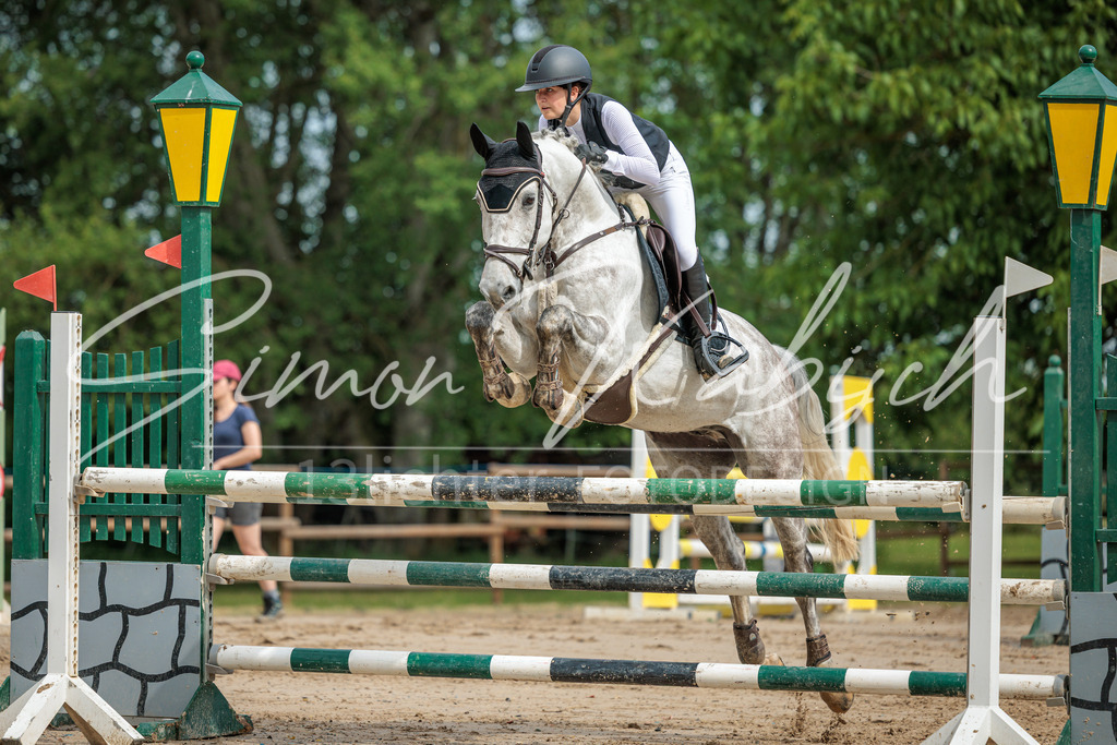 20260530-_3LI2461 | Tierfotografie Pferde, Hunde, Katzen, Haustiere.
Turnierfotografie Reitturniere, Reiten, Springreiten, Dressur in Hanau, dem Main-Kinzig-Kreis und dem Rhein-Main- Gebiet um Frankfurt
