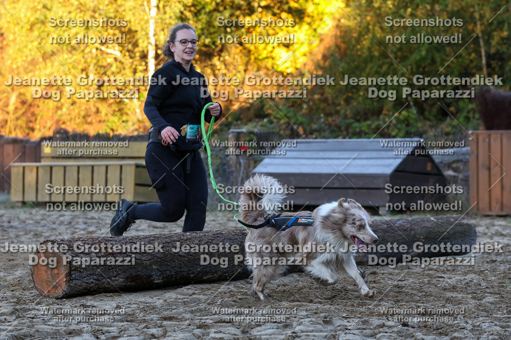 Dog Paparazzi - Strongdog 10-25-421 | Dog Paparazzi Jeanette Grottendiek Fotografie & Videografie - Realisiert mit Pictrs.com