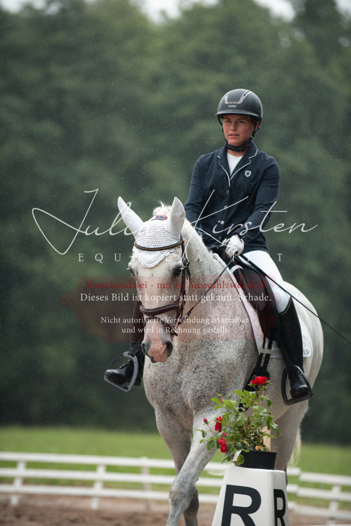 DSC_9689 | Pferde- und Turnierfotografie in Westsachsen. Pferdeportraits, Auftragszeichnungen und intuitive Kunst.