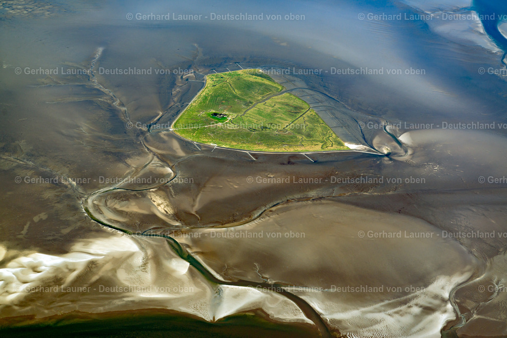 3801570 | Hallig Süderoog, Nationalpark Schleswig-Holsteinisches Wattenmeer