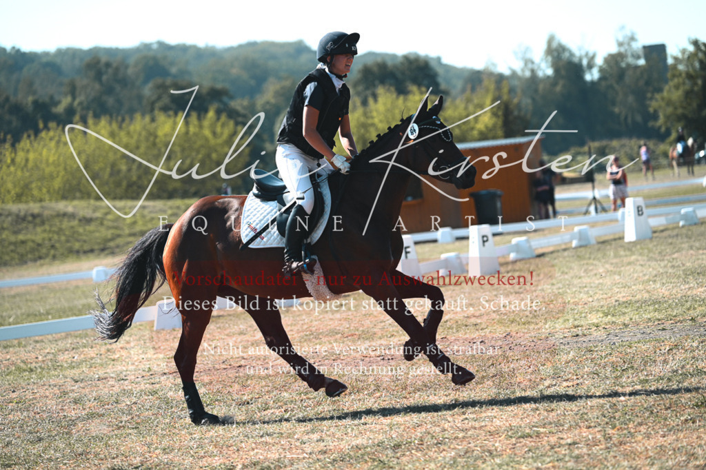 DSC_7858 | Pferde- und Turnierfotografie in Westsachsen. Pferdeportraits, Auftragszeichnungen und intuitive Kunst.