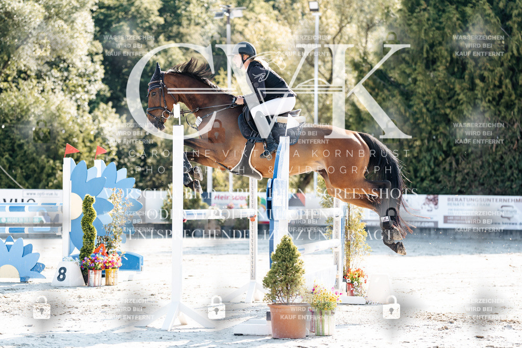 CK901755 | Turnierfotografie Pferdefotografie Trier Rheinland-Pfalz Pferdesport Reitsport Tierfotografie Sportfotografie Pferdevideo Pferdevideografie Equestrianvideography equestrianphotography  - Realisiert mit Pictrs.com