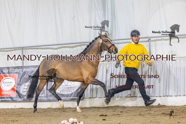 17 (5) | mandyhollmannphotographie