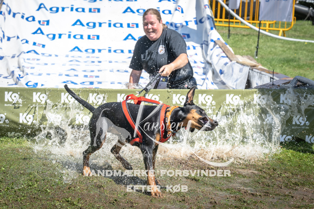 1313_ZZ99108 | kk-dogfotos