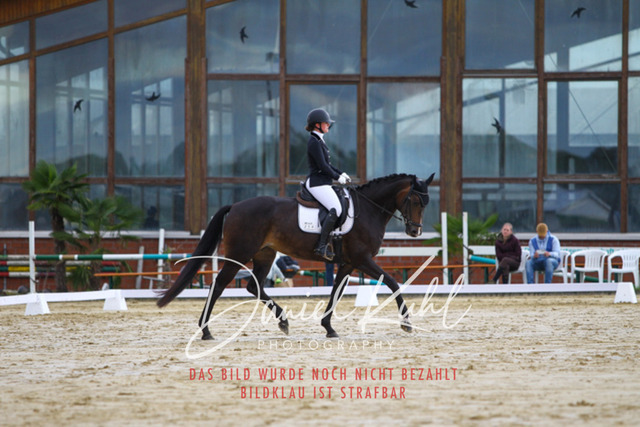 DKP43607 | Turniersportfotografie; Pferdefotografie; Dressurfotografie