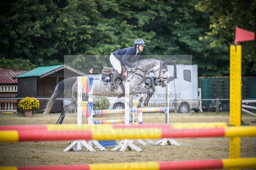 DOS_9489 | Entdecke hochwertige Reitturnierfotos von Foto Oger. Professionell, emotional und authentisch – jetzt Lieblingsmomente im Shop bestellen.Deutschlandweite Turnierfotografie. - Realisiert mit Pictrs.com