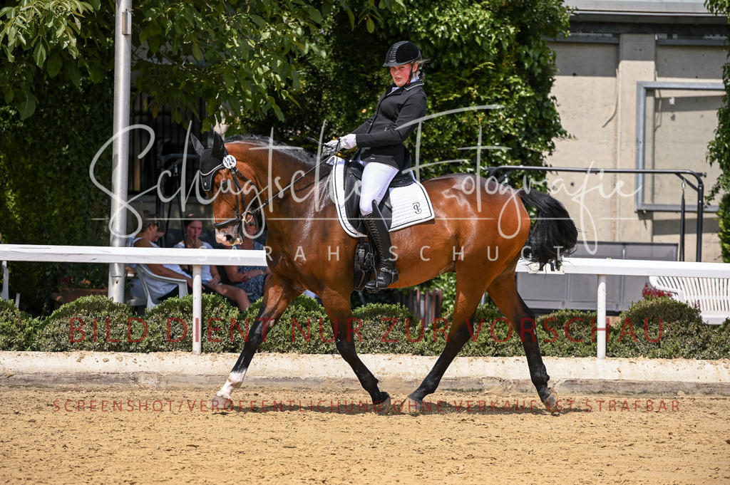 Schugtsche-Aluta25-55.Dressurreiterprf.L1Tr-23 | Schugtsche Fotografie - Realisiert mit Pictrs.com