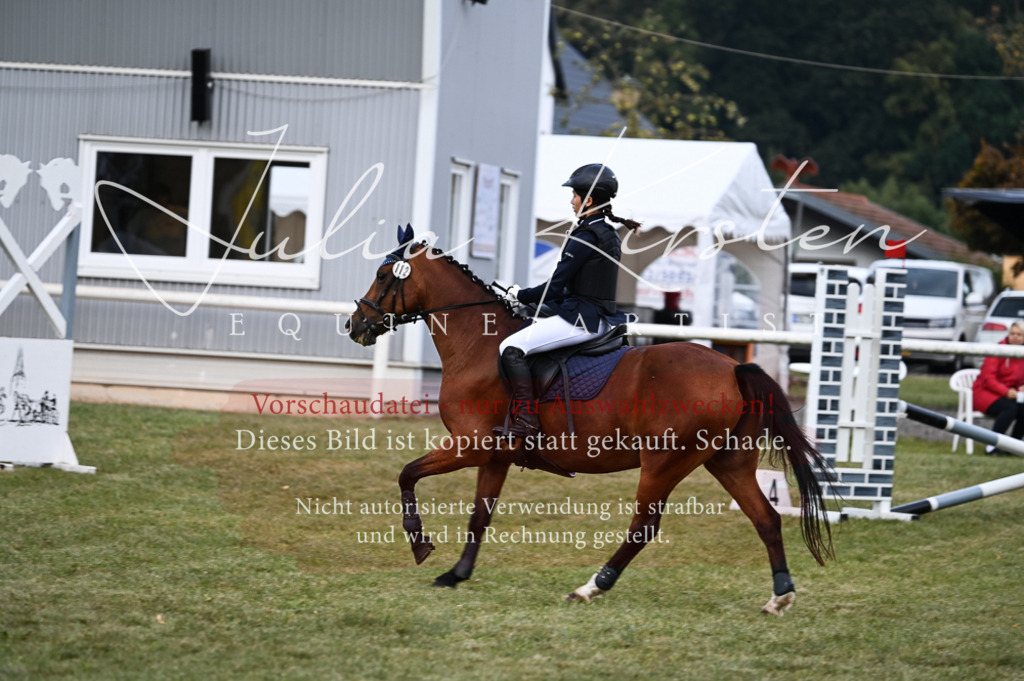 DSC_5494 | Pferde- und Turnierfotografie in Westsachsen. Pferdeportraits, Auftragszeichnungen und intuitive Kunst.