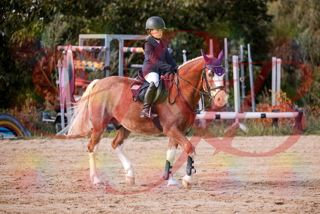 2026_10_03_Siefer-Hof_144324_Z81_16943771 | Professionelle Reitsport-, Turnier- und Eventfotografie von Robert Broda. Galerien mit ausgewählten und bearbeiteten Bildern direkt online ansehen und bestellen.