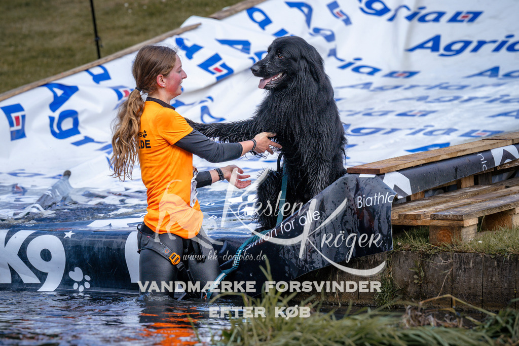 _ZZ919000918 | kk-dogfotos