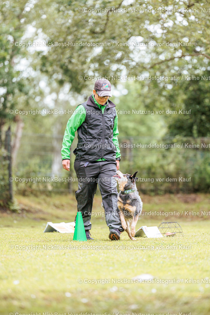 RO-Blumenthal-2026-Nickbest-Hundefotografie-1792 | Dein Hund! Dein Moment! Deine Erinnerungen! Hundefotografie in Bremen Blumenthal. Ich fange die besonderen Momente deines Vierbeiners ein – ob Indoor mit Blitzanlage oder in der freien Natur. Sicher dir dein Moment und dein Termin für eure Erinnerungen.