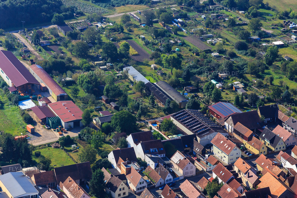 Luftbild: Landwirtschaftliche Hallen am Hintergraben in Kandel im Bundesland Rheinland-Pfalz in Deutschland. Foto: IMG_094906.jpg vom 24.09.2016 durch Werner Riehm/FLY-FOTO.de