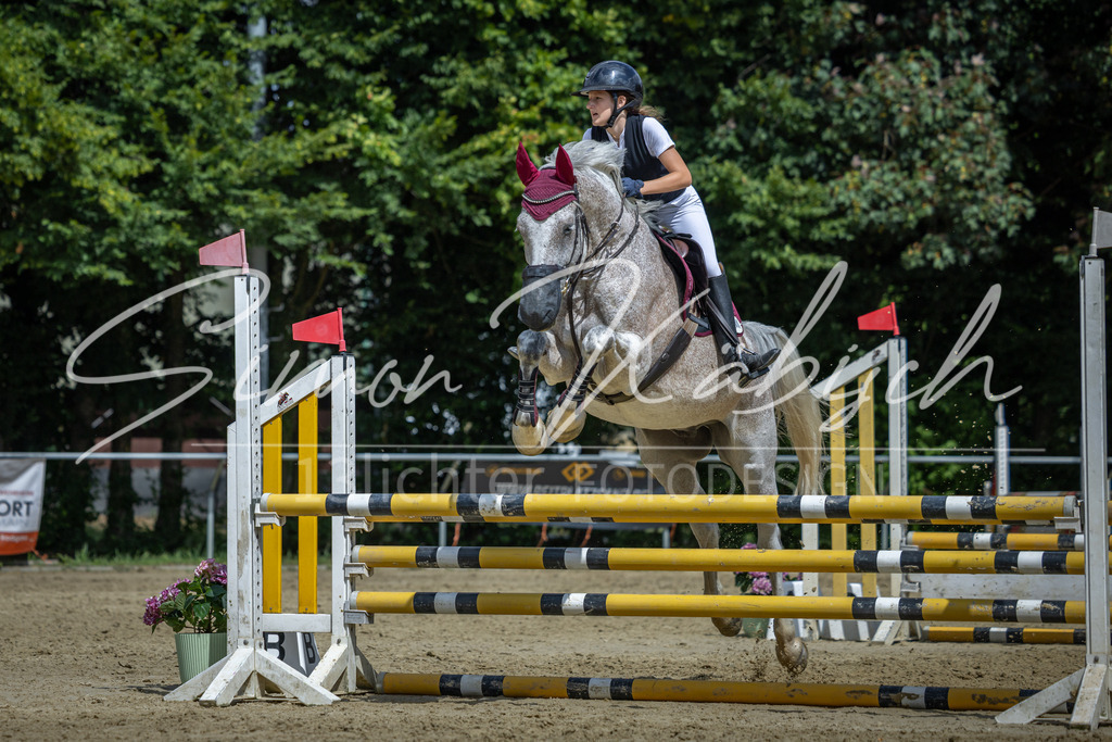 20260704-_3LI0711 | Tierfotografie Pferde, Hunde, Katzen, Haustiere.
Turnierfotografie Reitturniere, Reiten, Springreiten, Dressur in Hanau, dem Main-Kinzig-Kreis und dem Rhein-Main- Gebiet um Frankfurt