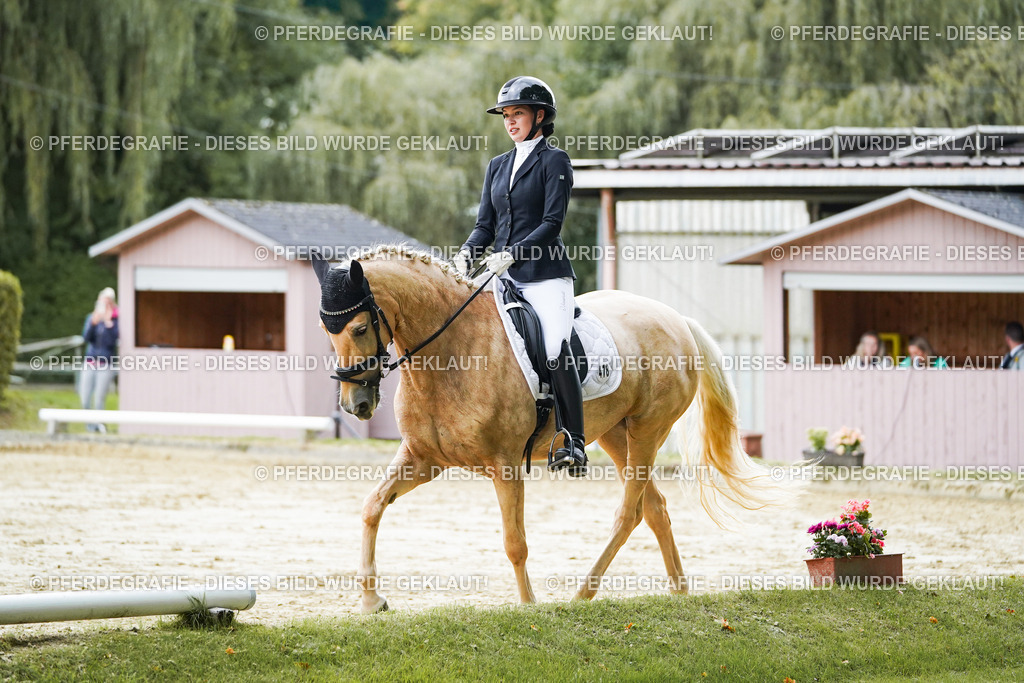 DSC06647 | Pferdegrafie