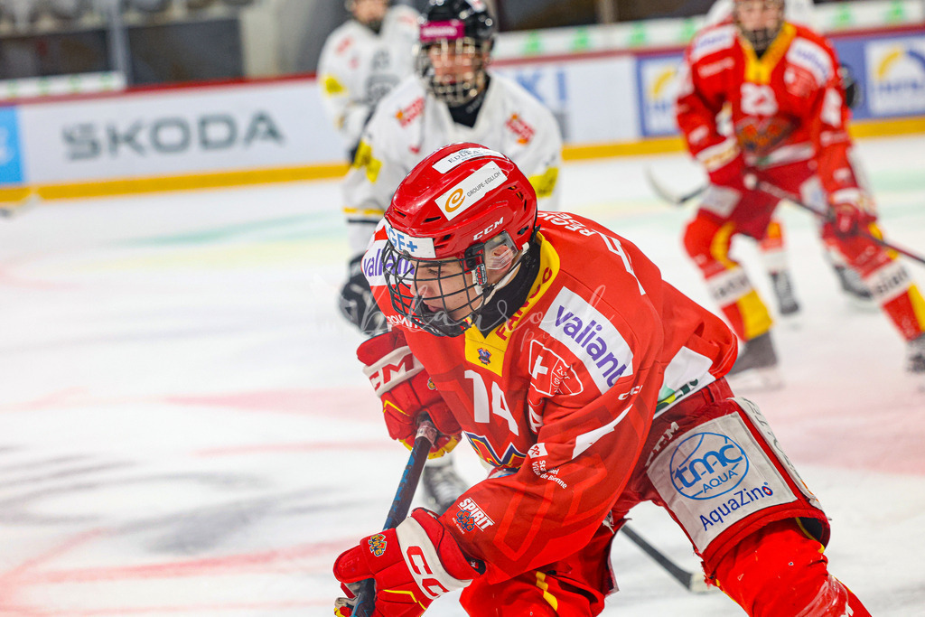 701A3019 | Sportbilder, Sportfotograf, Hochzeits- und Eventfotografin, Flugshows, Portraits und Tiershooting, Aviation, Downhill, Nationalleague, Swissleague, International