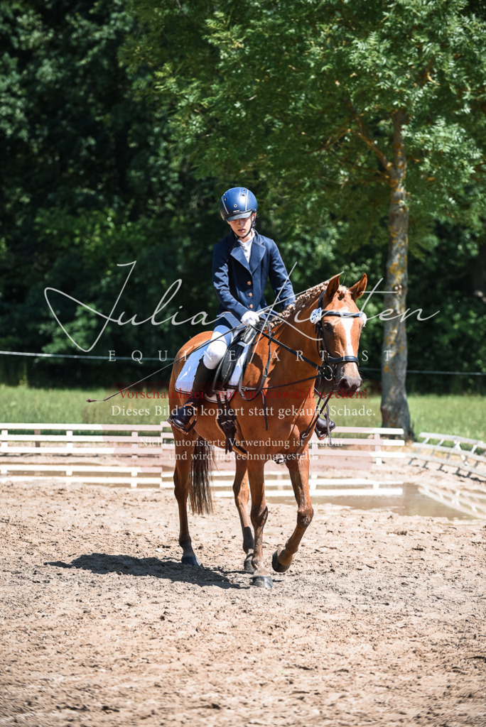DSC_2900 | Pferde- und Turnierfotografie in Westsachsen. Pferdeportraits, Auftragszeichnungen und intuitive Kunst.