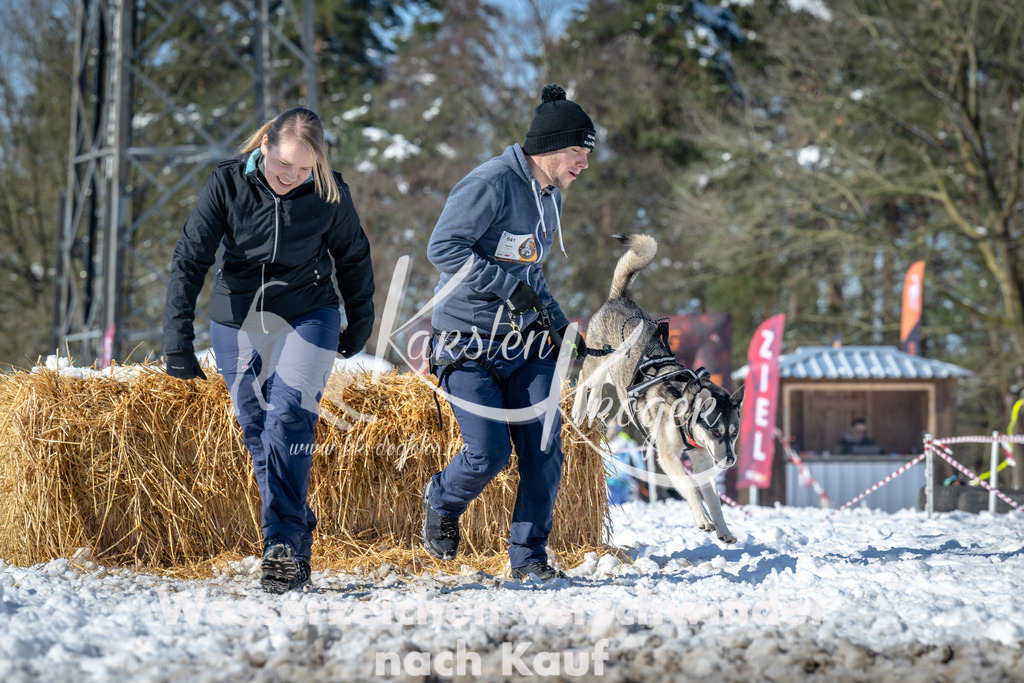 1156_ZZ91643-4 | kk-dogfotos