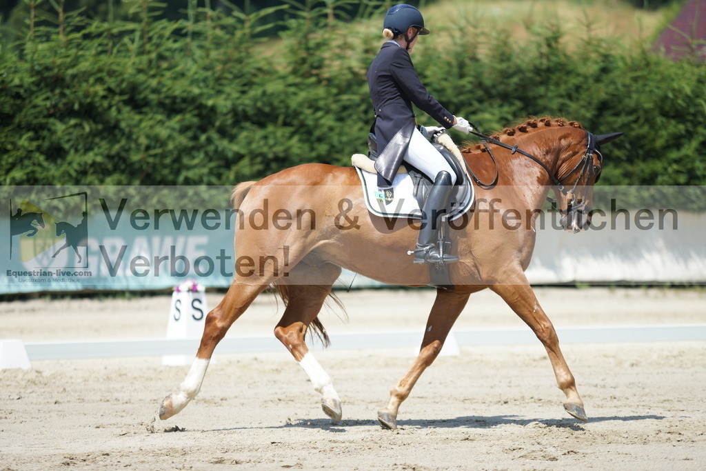 DSC05114 | equestrian-live-com