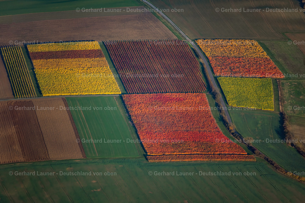4042421 | Weinberge bei Willanzheim