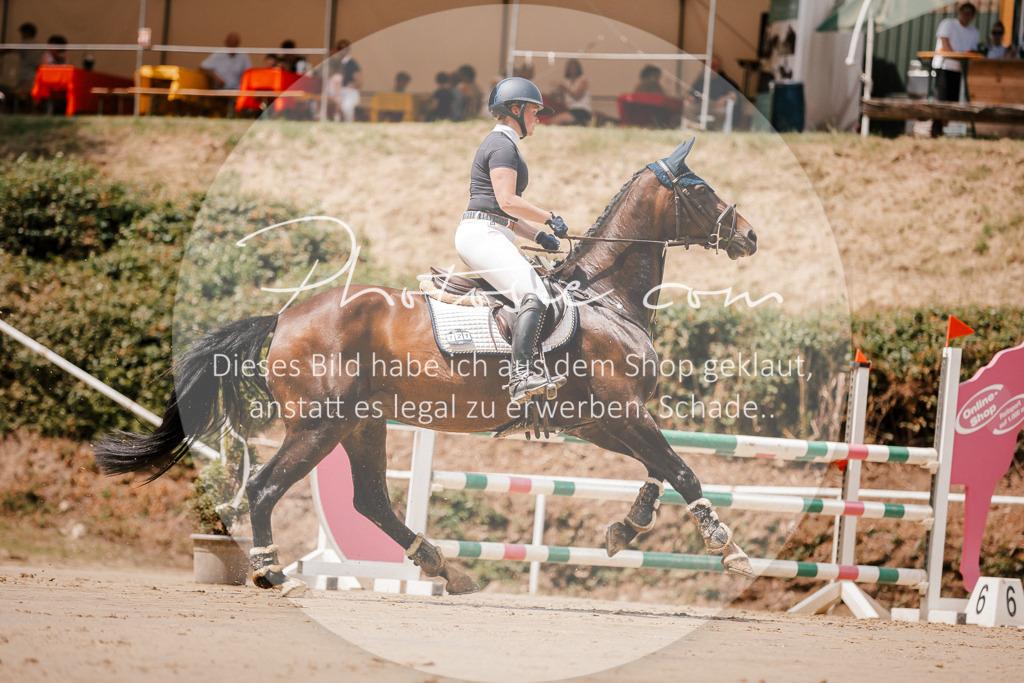 3I6A7777 | Stimmungsvolle Portraits und Reitsportfotografie im Ruhrgebiet und im Münsterland.

Pferdefotografie, Hundefotografie, Tierfotografie, Reportagen, Portraits von Tier und Mensch, Turnierfotografie in Bochum, Recklinghausen, Marl, Haltern am See, Dülmen.. - Realisiert mit Pictrs.com