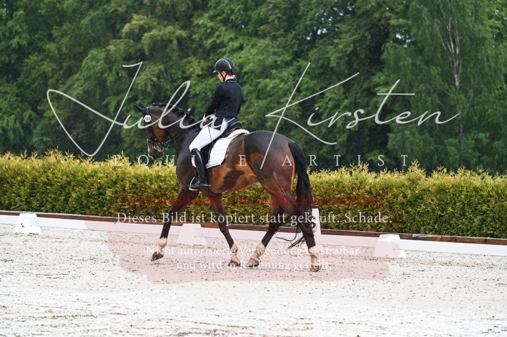 DSC_4142 | Pferde- und Turnierfotografie in Westsachsen. Pferdeportraits, Auftragszeichnungen und intuitive Kunst.