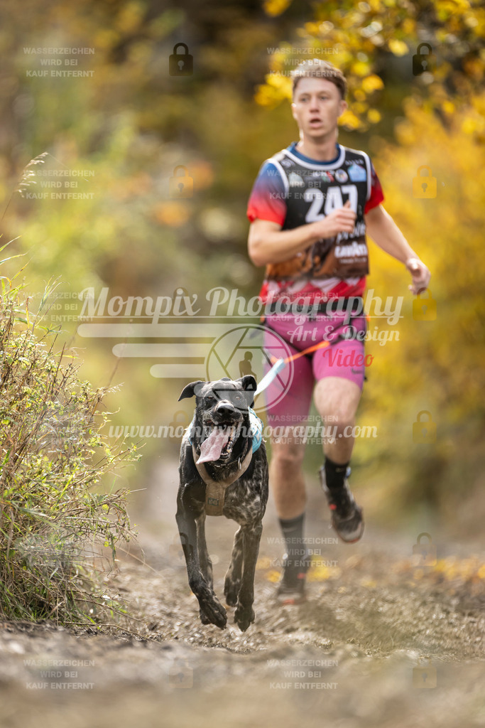 MompixPhotography_ICF_WC_2024_SA_Run_-38 | PayLife