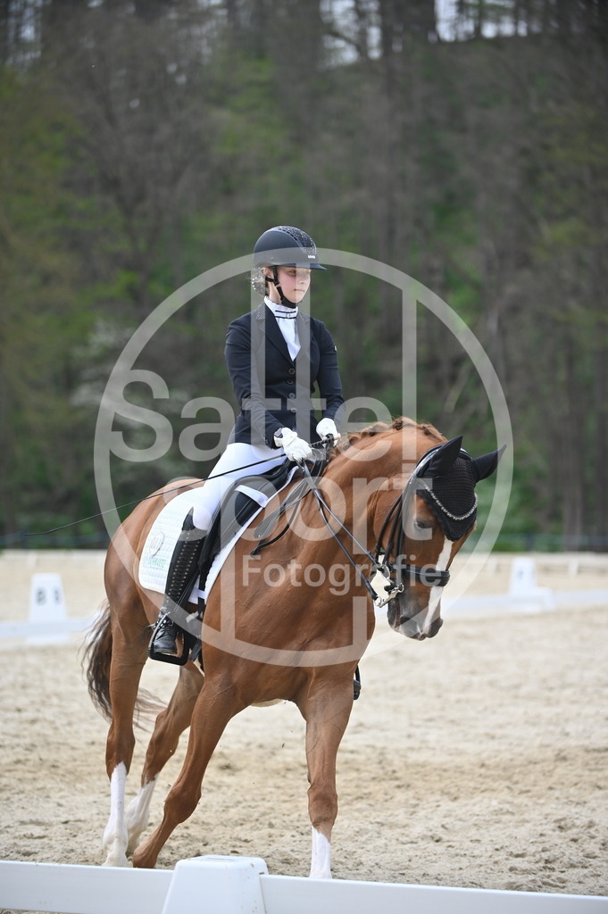 DSC_5117 | sattelsport - Realisiert mit Pictrs.com