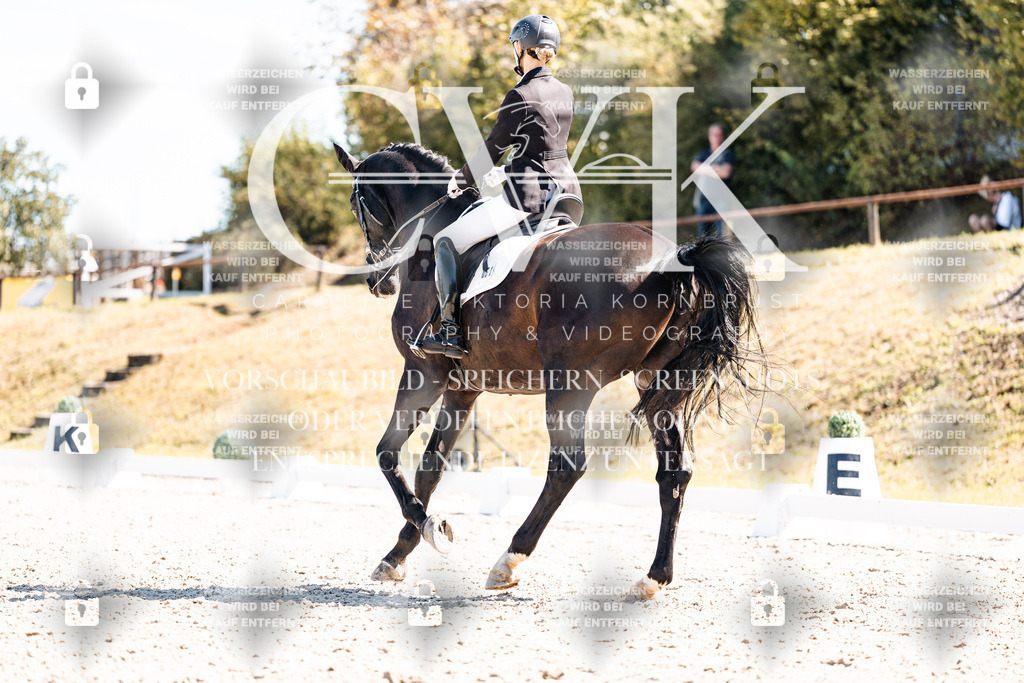 CK909866 | Turnierfotografie Pferdefotografie Trier Rheinland-Pfalz Pferdesport Reitsport Tierfotografie Sportfotografie Pferdevideo Pferdevideografie Equestrianvideography equestrianphotography  - Realisiert mit Pictrs.com