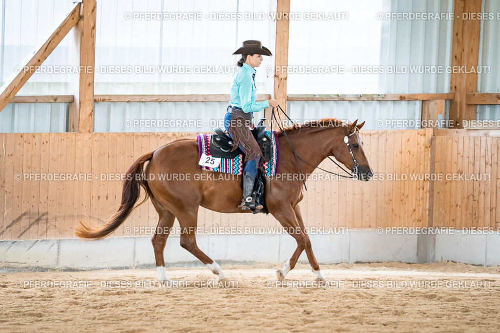 DSC03250 | Pferdegrafie