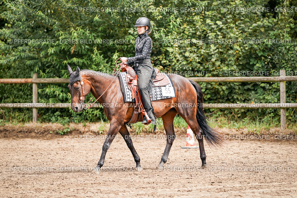 DSC04768 | Pferdegrafie