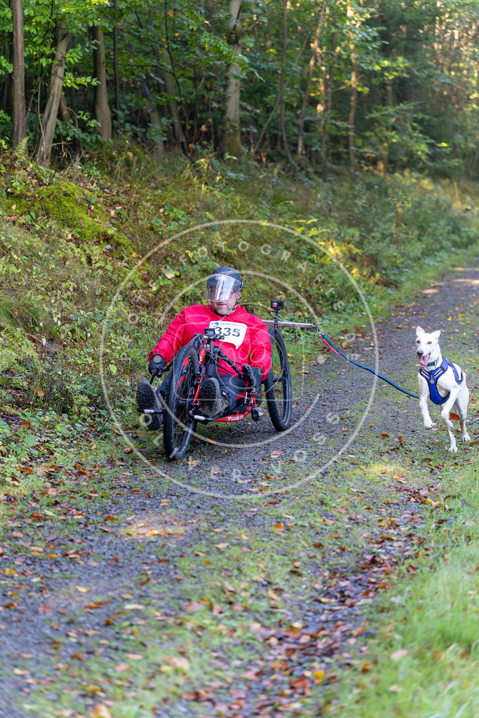 Pfotenfotografie_DV3A7933 | Hundefotografie, Tierfotograf, Pfotenfotografie, Fotoshooting Hund, Hunde Portrait, Hundesport, Hundeportraits, Heideshooting, Hunde, Sportfotograf, Hundefotograf, Turnierhundsport, THS,  - Realisiert mit Pictrs.com