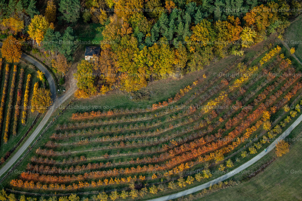 3808254 | Herbstliche Bäume am Teufelstisch bei Dachstadt