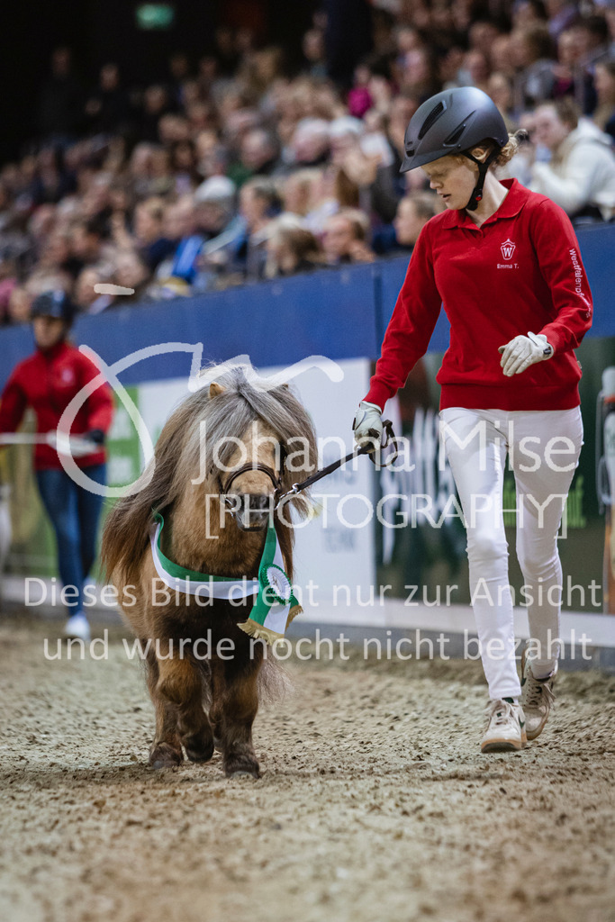 250108_Muenster_Hengstpräsentation-104 | Deine schönsten Turniermomente als professionelle Fotos! Entdecke hochwertige Pferdesport-Fotografie im Online-Shop. Jetzt Fotos finden & bestellen!