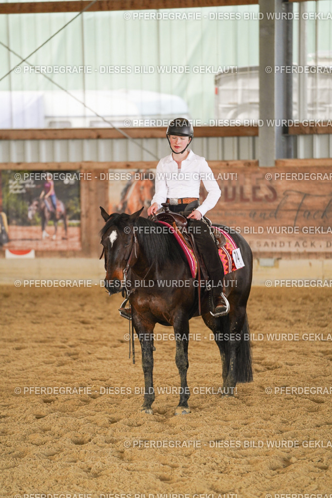 DSC08949 | Pferdegrafie