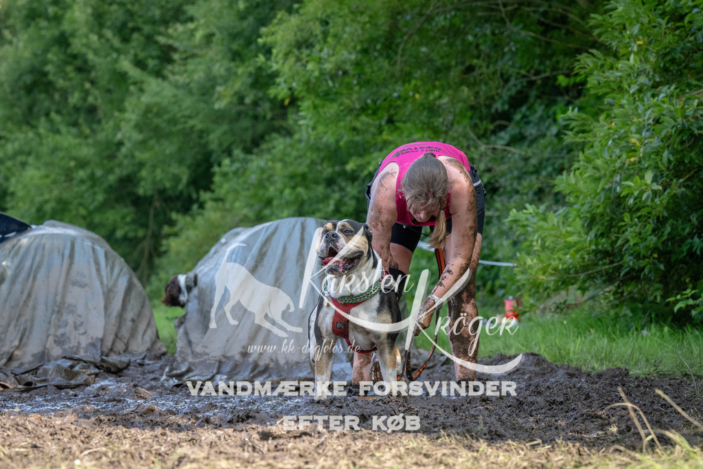 1558_ZZ92102 | kk-dogfotos